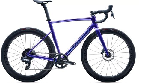 Specialized Allez Sprint LTD - Pro Bike + Run | Pittsburgh, PA