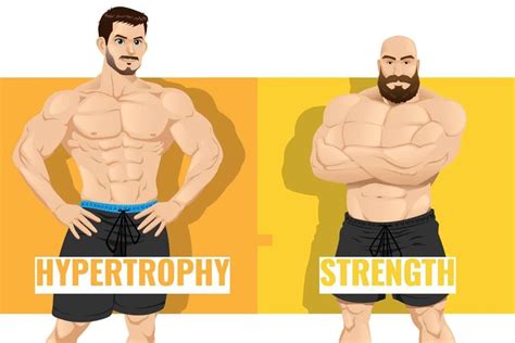 Strength vs Hypertrophy (What are the main differences?) - Raw Active