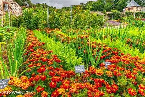 Fyvie Castle, a garden of color | A Traveling Gardener