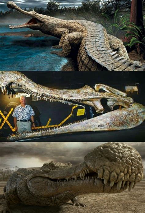 SARCOSUCHUS. | Prehistoric, Critter, Fossil