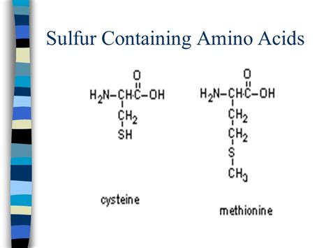 Which antibiotics contain sulfa