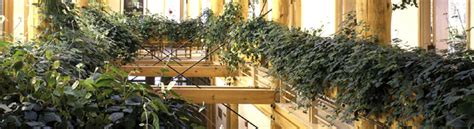 01 atrium & plants - Banwell Architects