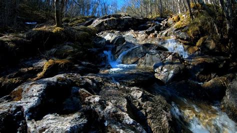 Calming nature sound of a stream in the spring forest - YouTube