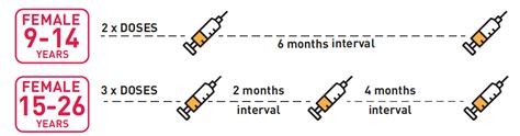 Hpv Vaccine Schedule Cervavac, India’s Own Hpv Vaccine For Cervical Cancer, Is Now In Pvt ...