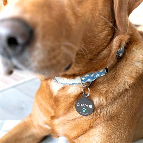 Personalised Special Needs Pet ID Tag By The Little Picture Company ...