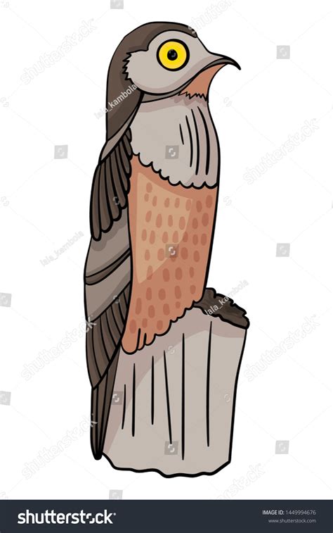 Bird Potoo Childrens Vector Illustration On: vector de stock (libre de regalías) 1449994676 ...