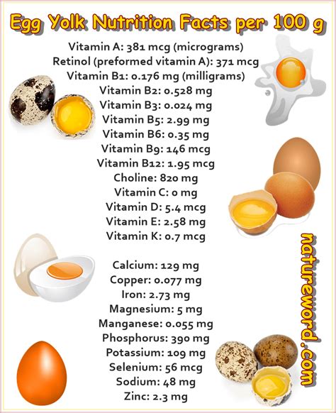Egg Yolk Nutrition Facts per 100 Grams - NatureWord