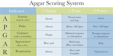 APGAR SCORE