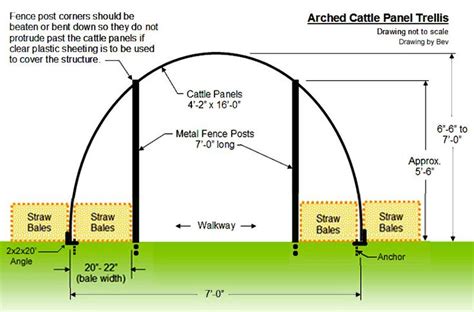 arched cattle panel trellis | Cattle panels, Cattle panel trellis, Diy ...