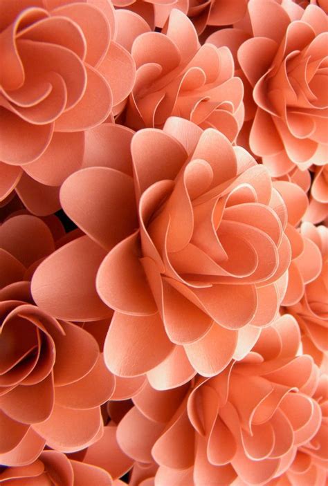 ~ It's a Colorful Life ~: Photo | Orange aesthetic, Peach aesthetic ...