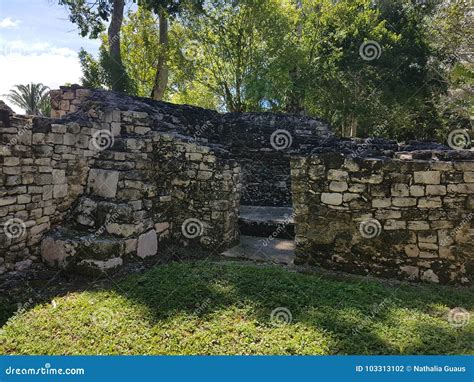 Ruins of kohunlich stock photo. Image of tropic, ball - 103313102