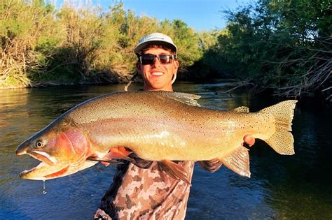 Man Catches Record Yellowstone Cutthroat Trout Out of Snake River