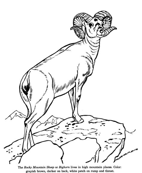 Free Desert Animals Coloring Pages, Download Free Desert Animals ...