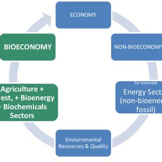 (PDF) The relationship between bioeconomy sectors and the rest of the ...