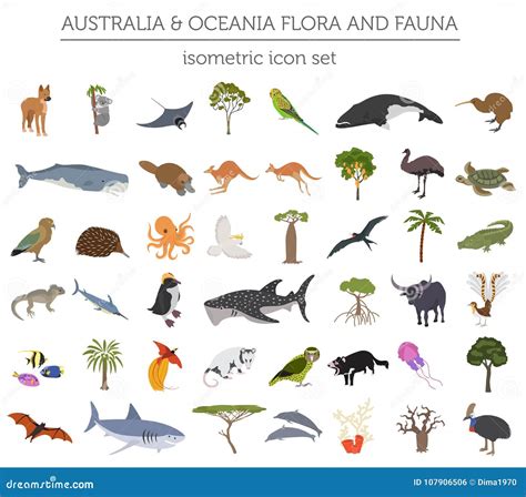 Isometrische 3d Australien Und Ozeanien-Flora Und -fauna Zeichnen ...