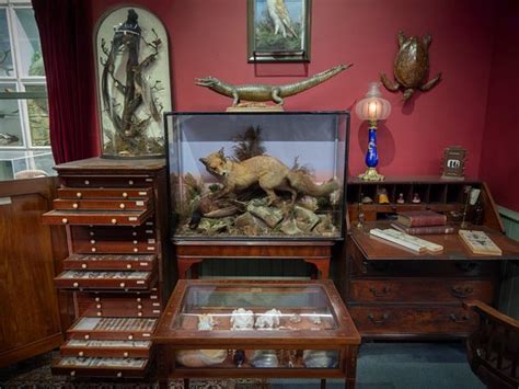 Booth Museum of Natural History 2019 (Brighton) - Everything You Need to Know Before You Go ...