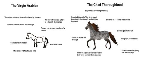 Handy Horse Breed Guide : r/RedDeadOnline