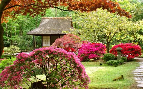 Japan flowers spring japanese garden asian wallpaper | 1920x1200 | 123241 | WallpaperUP