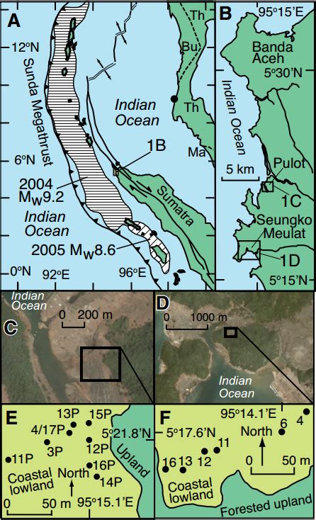 Understanding subduction zone earthquakes