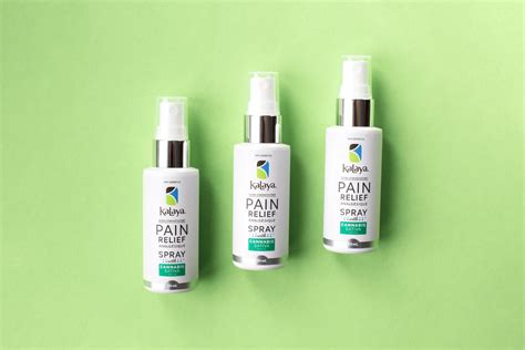 Kalaya Pain Relief Spray with Cannabis Sativa Seed Oil – KaLaya