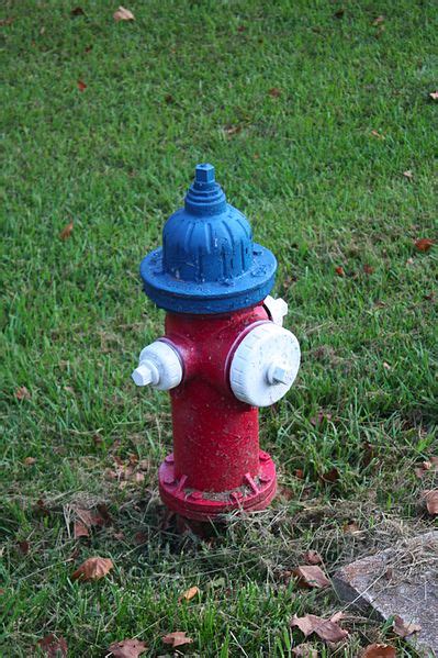 Fire Hydrant Colors Actually Mean Something