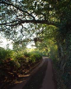 Uphill and south on Old Matford Lane © Robin Stott cc-by-sa/2.0 :: Geograph Britain and Ireland