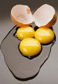 Eggs for beautiful hair | Beauty and Personal Grooming