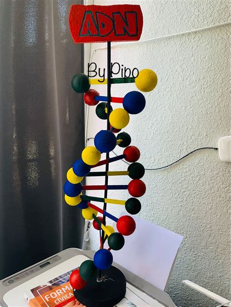 Maqueta de la estructura del ADN | Imagenes de maquetas, Maquetas de ...