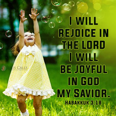 I will rejoice in the Lord I will be joyful in God my savior ...