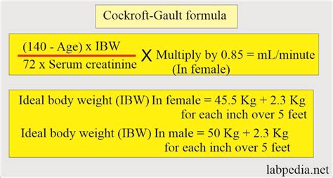 Creatinine Clearance (CrC), and Glomerular Filtration Rate (GFR) (2022)