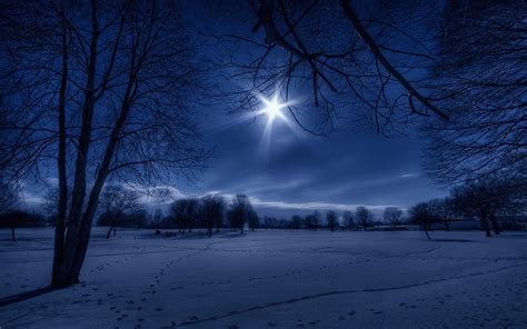 Beautiful Winter Night Wallpaper Free Download