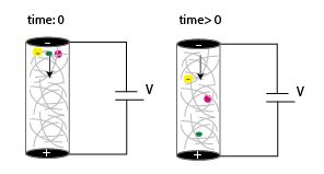 Capillary Gel Electrophoresis - OpenWetWare