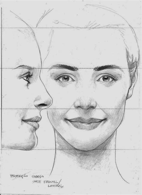 Female Face Drawing, Human Anatomy Drawing, Anatomy Art, Portraiture Drawing, Portrait Painting ...