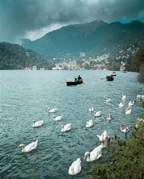 Everything About Nainital Lake, The Kidney Shaped Lake Located At The Heart Of Nainital | Postoast