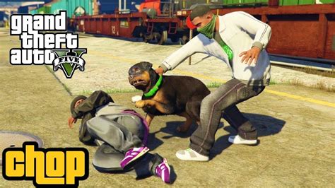 GTA 5 - Chop - Mission #5 - Walkthrough + Gameplay (PC) - YouTube