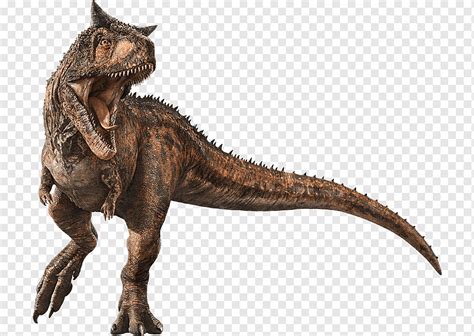 Dinosaur Baryonyx Velociraptor Tyrannosaurus Roblox Png Clipart