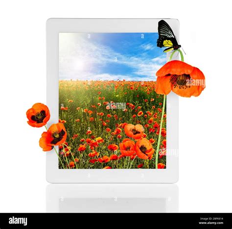 Tablet with nature wallpaper on screens isolated on white Stock Photo ...