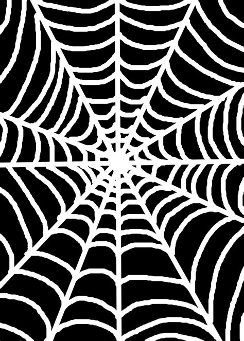 White Spider Web Free Stock Photo - Public Domain Pictures