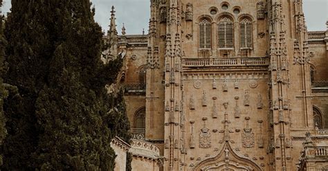 Old Cathedral of Salamanca · Free Stock Photo