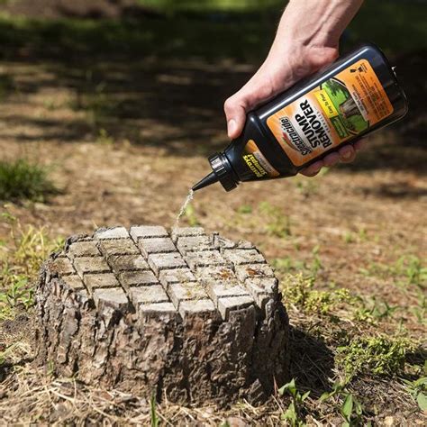 How to Remove a Tree Stump | HGTV