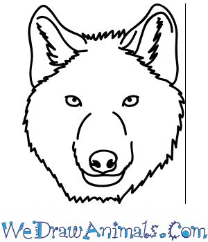 How To Draw A Wolves Face - Gradecontext26