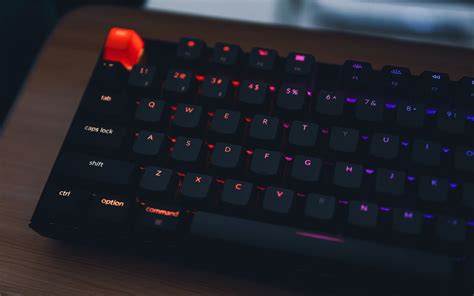 🔝Top 5 Best Wireless Keyboards in 2023: Expert Review & Buying Guide!