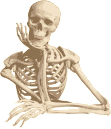 Skeleton,smiling,sitting,cartoon,isolated - free image from needpix.com