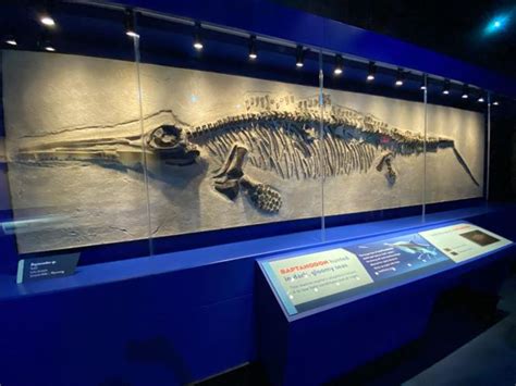 An exhibit of jurassic proportions: Children's Museum of Indianapolis reopens Dinosphere