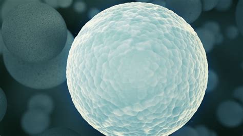 Israelis design artificial cells that make things | The Times of Israel