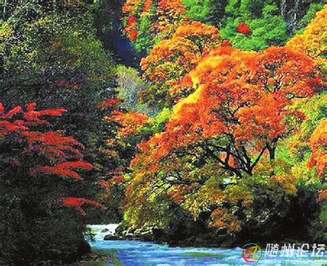 随州风景-随州市人民政府门户网站