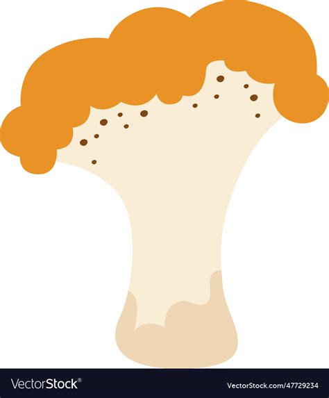 Chanterelle mushroom plant Royalty Free Vector Image