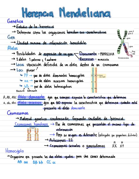 SOLUTION: Herencia mendeliana - Studypool