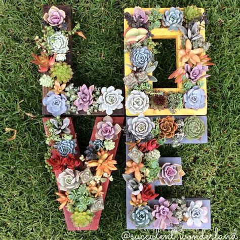 25-succulent-garden-ideas - IdeaStand