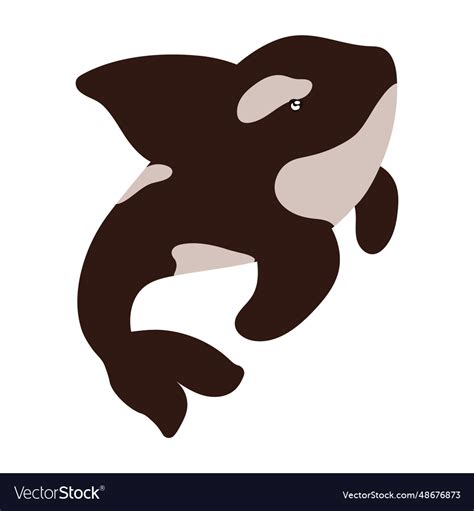 Artic animal orca whale Royalty Free Vector Image